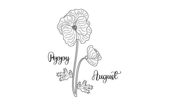 August Poppy Line Art for Embroidery