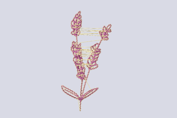 Charming Lavender Flower for Elegant Gifts