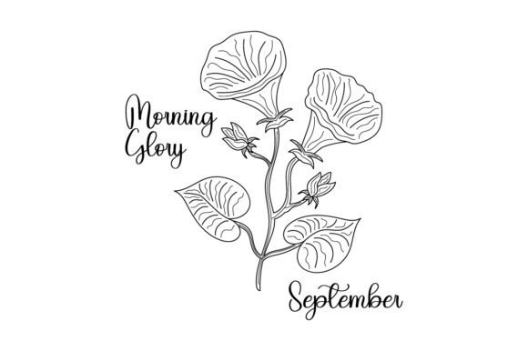 September Morning Glory - Elegant Embroidery Design